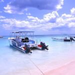 Punta Cana: Private Saona Island Full-Day Tour, Natural Pool - Arriving at Saona Island: The Main Attraction