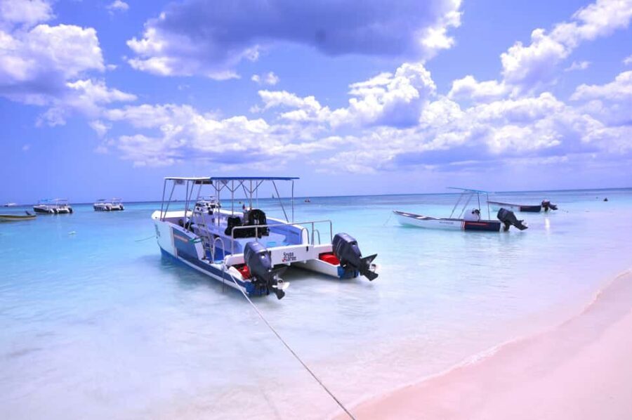 Punta Cana: Private Saona Island Full-Day Tour, Natural Pool - Arriving at Saona Island: The Main Attraction