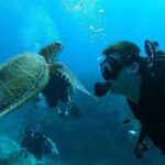 Punta Cana Reef Diving Adventure Explore Underwater Wonders - The Sum Up: Who Should Sign Up?