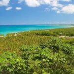Punta Cana: Samaná Day Trip with El Limón & Bacardí Island - Why This Tour Offers Good Value