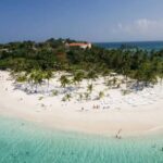 Punta Cana: Samaná Day Trip with El Limón Waterfall - Practical Details and Tips