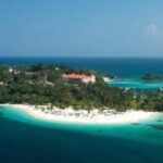 Punta Cana: Samaná Peninsula Whale Watching Day Trip - Who This Tour Is Perfect For