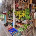 Punta Cana: Samana safari between waterfalls and beaches - A Closer Look at the Tour Experience