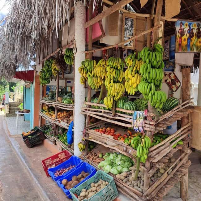 Punta Cana: Samana safari between waterfalls and beaches - A Closer Look at the Tour Experience