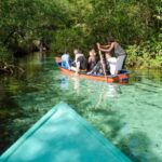 Punta Cana: Samaná Whale Watching and El Limón Day Tour - Authenticity and Value