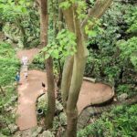 Punta Cana Santo Domingo - Frequently Asked Questions