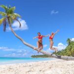 Punta Cana: Saona Islan Full Day With Catamaran and buffet - In-Depth Review: What You Can Expect and What It Means for You
