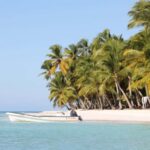 Punta Cana: Saona Island and Altos de Chavón Day Trip - What Makes This Tour Stand Out?