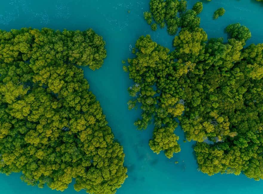 Punta Cana: Saona Island and Chavón River Combo with Guided Tours - What Travelers Say