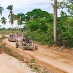 Punta Cana: Saona Island & Buggy Combo Adventure - Who Should Consider This Tour?