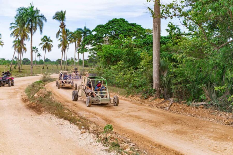 Punta Cana: Saona Island & Buggy Combo Adventure - Who Should Consider This Tour?