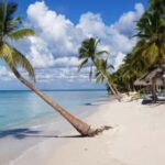 Punta Cana: Saona Island Day Trip with Lobster Lunch - Detailed Breakdown of the Experience