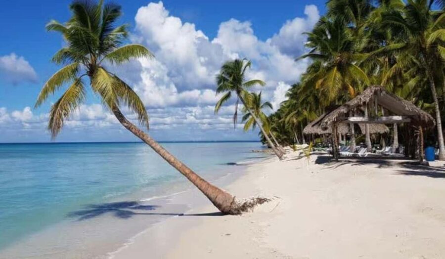 Punta Cana: Saona Island Day Trip with Lobster Lunch - Detailed Breakdown of the Experience