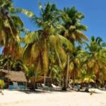 Punta Cana: Saona Island Day Trip with Lunch & Drinks - FAQs