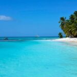 Punta Cana: Saona Island Day Trip with Open Bar and Lunch - Who Will Love This Tour?