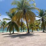 Punta Cana: Saona Island Premium 3 beaches - Authentic Experiences and Travelers’ Feedback