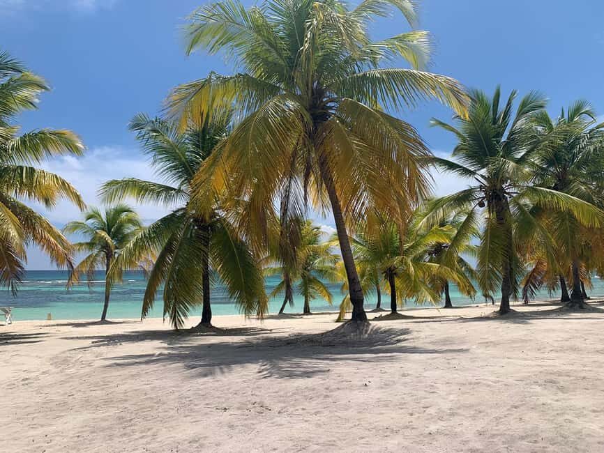 Punta Cana: Saona Island Premium 3 beaches - Authentic Experiences and Travelers’ Feedback