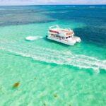 Punta Cana: Saona Island Tour with Transportation - The Itinerary in Detail