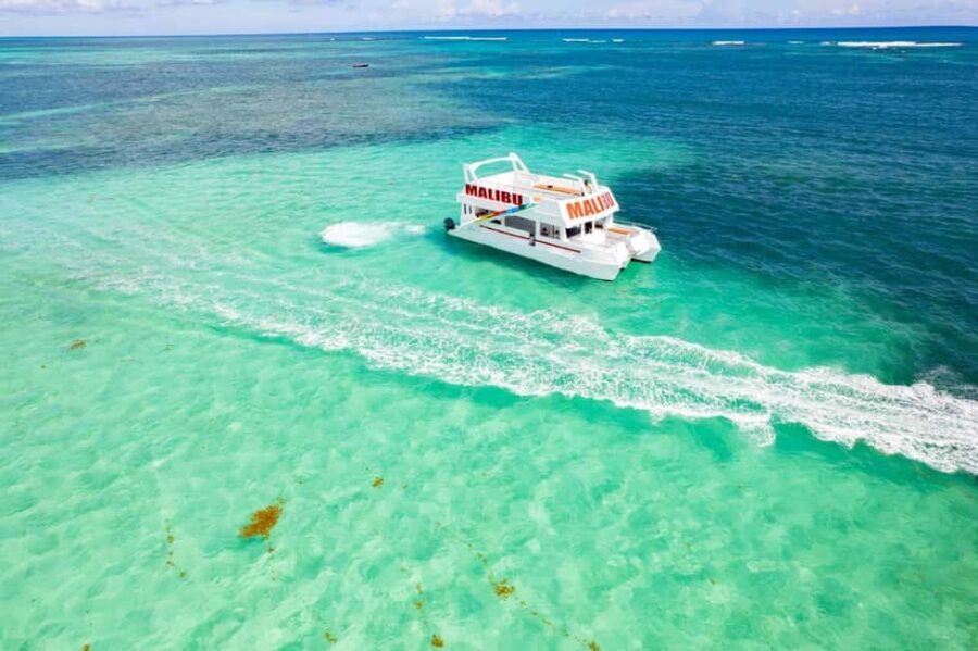 Punta Cana: Saona Island Tour with Transportation - The Itinerary in Detail