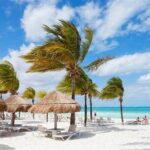 Punta Cana: Saône Island in Catamaran, Small Groups, With Food - Final Thoughts: Is This Tour Right for You?