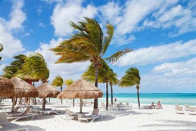 Punta Cana: Saône Island in Catamaran, Small Groups, With Food - Final Thoughts: Is This Tour Right for You?