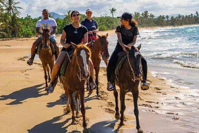 Punta cana scenic tour with lunch horses and cenote - The Sum Up