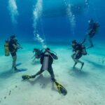 Punta Cana: Scuba Diving Catalina Island Cruise with Lunch - Practical Details and Tips