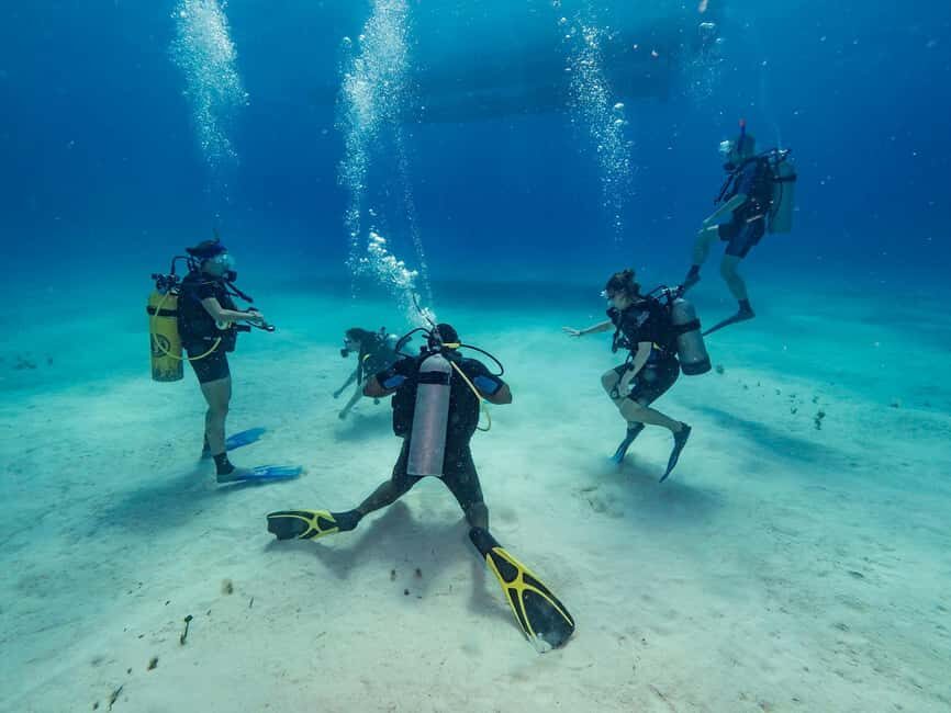Punta Cana: Scuba Diving Catalina Island Cruise with Lunch - Practical Details and Tips
