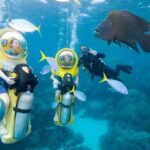 Punta Cana Scubadoo Adventure - A detailed look at what to expect from the Punta Cana Scubadoo Adventure