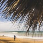 Punta Cana Surfing Experience: Surf in Dominican Republic - A Thorough Breakdown of the Tour