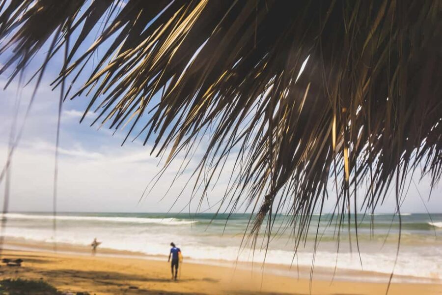 Punta Cana Surfing Experience: Surf in Dominican Republic - A Thorough Breakdown of the Tour