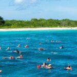 Punta Cana to Isla Catalina Day Tour on Catamaran - The Full Experience: What to Expect from Start to Finish