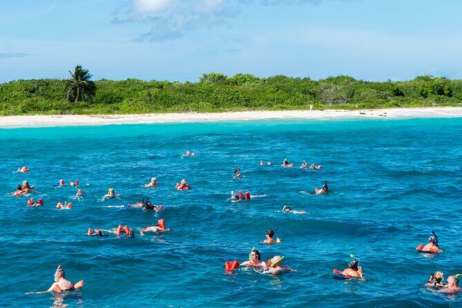 Punta Cana to Isla Catalina Day Tour on Catamaran - The Full Experience: What to Expect from Start to Finish