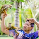 Punta Cana: Tour Monkey Adventure With Hotel Pick Up - Final Thoughts: Who Is This Tour Best For?