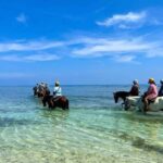 Punta Cana: Uvero Alto Beach Horseback Riding Tour - An In-Depth Review of the Uvero Alto Beach Horseback Riding Experience