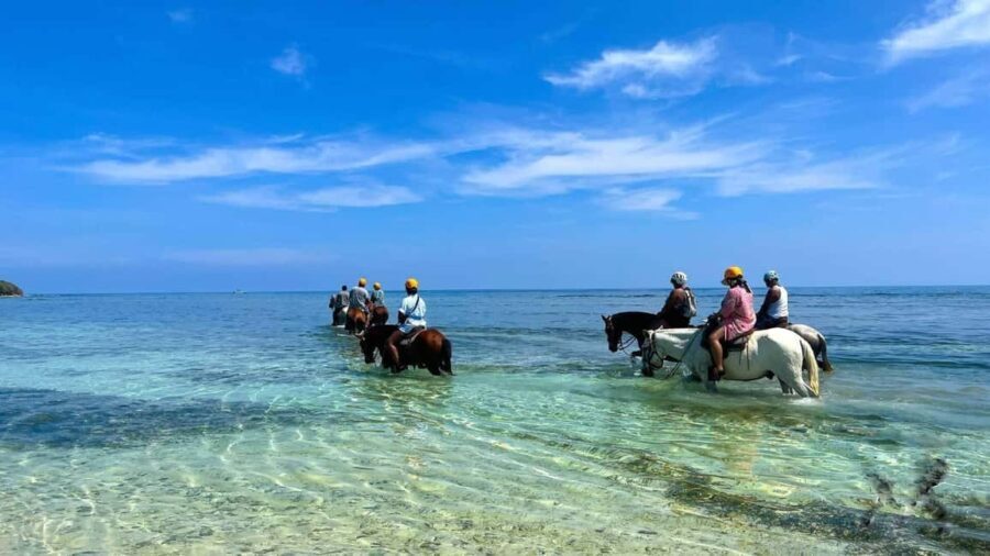 Punta Cana: Uvero Alto Beach Horseback Riding Tour - An In-Depth Review of the Uvero Alto Beach Horseback Riding Experience