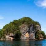 Punta Cana: Whale Watching & Los Haitises Park Sailing Tour - What Makes This Tour Stand Out?