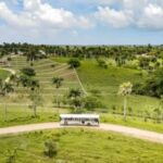 Punta Cana: Xploration Animal Park Entry with Activities - A Closer Look at the Itinerary