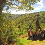 Punta Cana Zipline Adventure - Why You Should Consider This Zipline Adventure