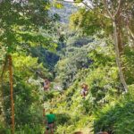 Punta Cana Zipline Adventure Soar Over the Caribbean Jungle - Frequently Asked Questions