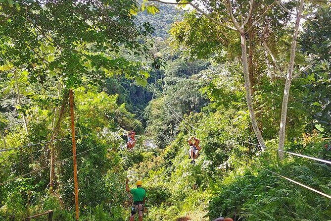 Punta Cana Zipline Adventure Soar Over the Caribbean Jungle - Frequently Asked Questions