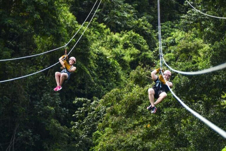 Punta Cana: Ziplines Adventures & Monkeyland Entry - An In-Depth Look at the Tour Experience
