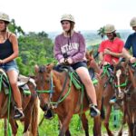 Punta Cana:Paseo en buggie ,caballo y ziplines en la selva - What the Reviews Say