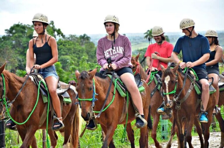 Punta Cana:Paseo en buggie ,caballo y ziplines en la selva - What the Reviews Say