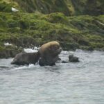 Punta Loma Shore Excursion with City tour - An In-Depth Look at the Punta Loma Shore Excursion