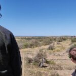 Punta Tombo Full Day Tour, Walking among Penguins - Regular service SIB - Who Will Appreciate This Tour?