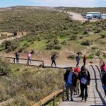 Punta Tombo Shore Tour for NCL Star Passengers in Puerto Madryn - Who Will Love This Tour?