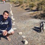 Punta Tombo Tour, the Penguin Experience - The Wildlife and Other Animals