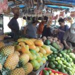 Puntarenas Highlights Shore Excursion - The Itinerary in Detail: What to Expect