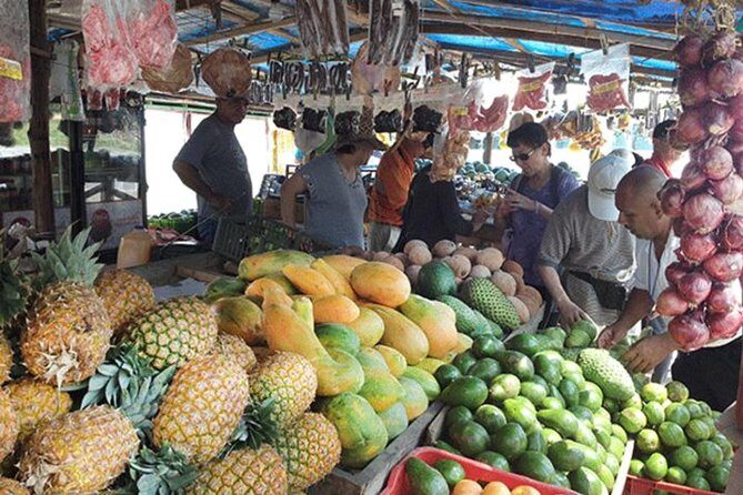 Puntarenas Highlights Shore Excursion - The Itinerary in Detail: What to Expect